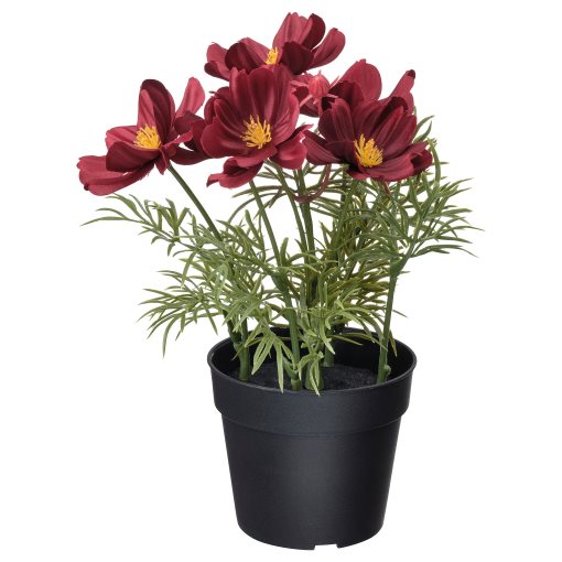 FEJKA artificial potted plant/in/outdoor/cosmos, 9 cm