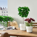 FEJKA artificial potted plant/in/outdoor/cosmos, 9 cm