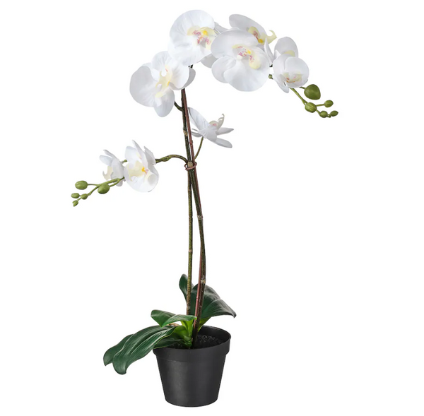 FEJKA Artificial potted plant, Orchid white, 12 cm