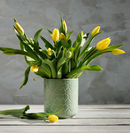 KRYPIDEGRAN Vase, green, 15 cm (6 ")
