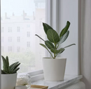 SOJABÖNA  Plant pot white, Ø15 cm