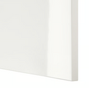 SELSVIKEN Door,drawer front, high-gloss white, 60x38 cm