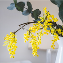 SVARTOXBÄR Scented tealight, Mimosa/yellow, 3.5 hr