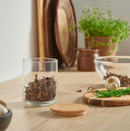 EKLATANT Jar with lid, clear glass/bamboo, 0.8 l