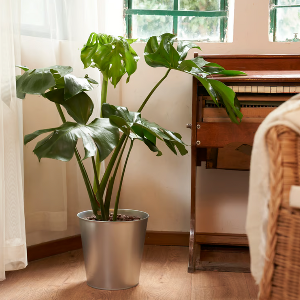 ÅKERBÄR Plant pot, in/outdoor/galvanised, 24 cm