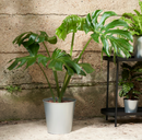 ÅKERBÄR Plant pot, in/outdoor/galvanised, 24 cm
