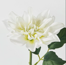 SMYCKA Artificial flower, in/outdoor/Dahlia white, 30 cm
