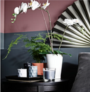 PAPAJA Plant pot, white, 12x19 cm