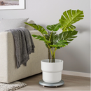 FÖRENLIG plastic plant pot , white, 24 cm