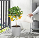 IKEA PS 2002 watering can , white, 1.2 l