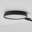 BLÅLIDEN Glass-door cabinet, black,35x32x151 cm/STRIMSÄV spotlight with LED, black, 6x1 cm