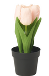 FEJKA artificial potted plant/in/outdoor/tulip, 9 cm