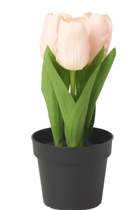 fejka potted plant FEJKA artificial potted plant/in/outdoor/tulip, 9 cm – Likea projects limited