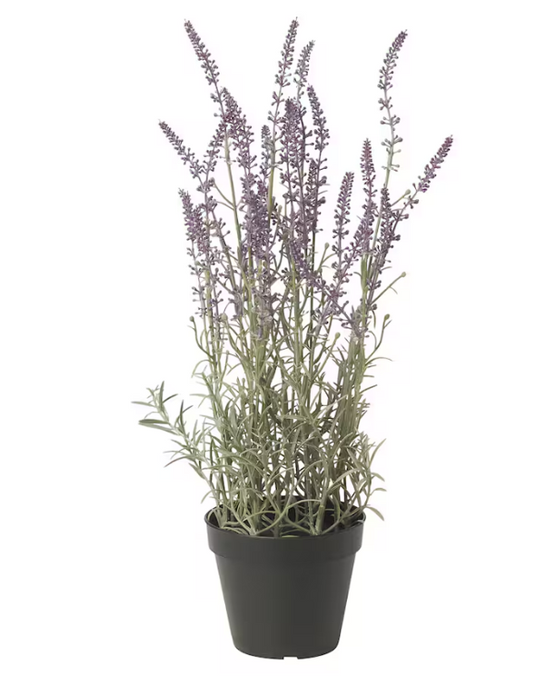 FEJKA Artificial potted plant, in/outdoor/Lavender lilac, 12 cm