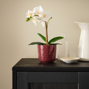 SESAMFRÖN Plant pot, in/outdoor brown-red, 9 cm