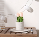 FEJKA artificial potted plant/in/outdoor/tulip, 9 cm