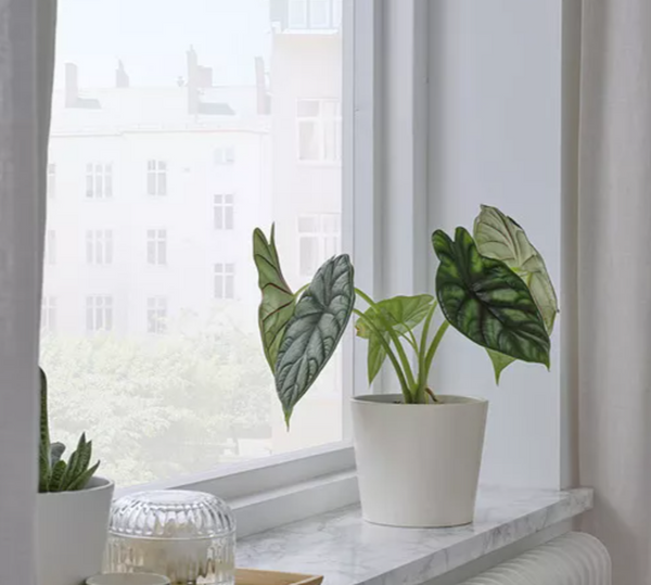SOJABÖNA  Plant pot white, Ø12 cm