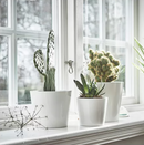 SOJABÖNA  Plant pot white, Ø15 cm