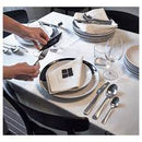 DRAGON 60-piece flatware set, stainless steel