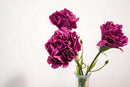 SMYCKA Artificial flower, carnation/dark lilac, 30 cm