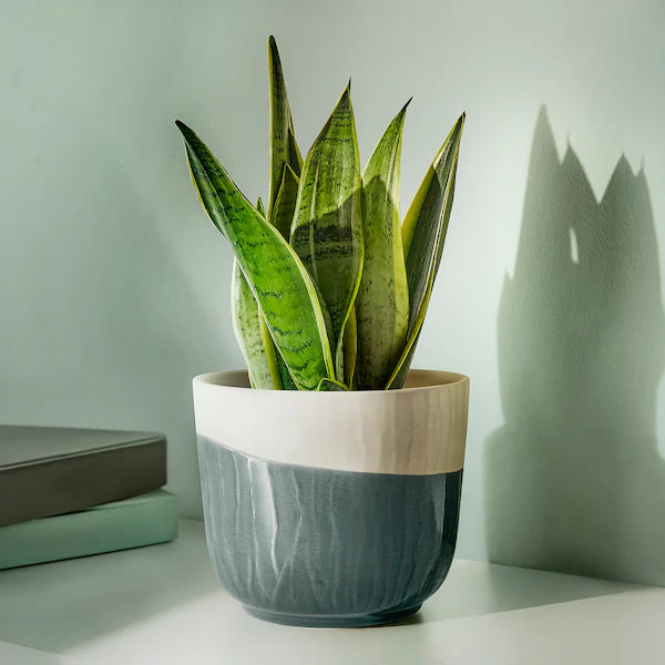 SAGOGRYN Plant pot, grey/handmade, 13 cm