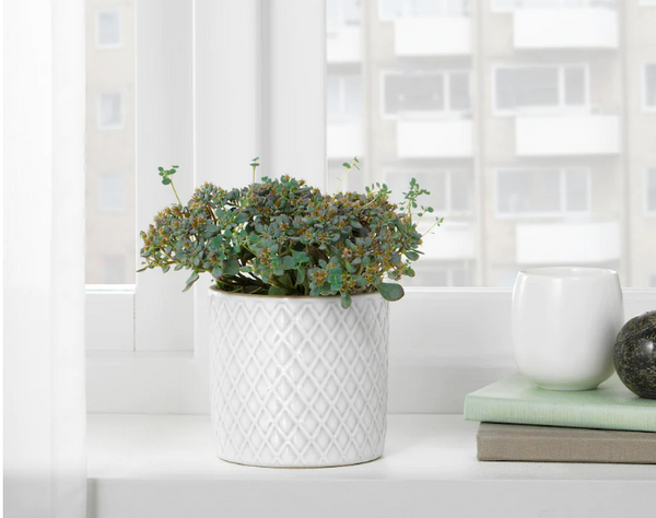 CHIAFRON IKEA Plant Pot white 9cm