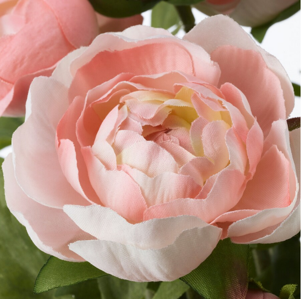 FEJKA Artificial potted plant, in/outdoor/Ranunculus pink, 12 cm