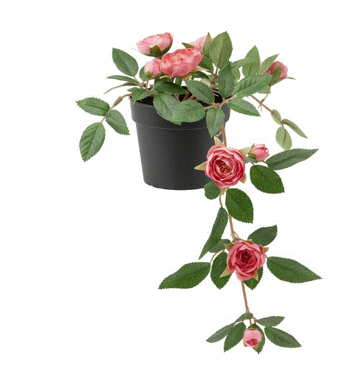 FEJKA Artificial potted plant, in/outdoor Rose/hanging pink, 9 cm