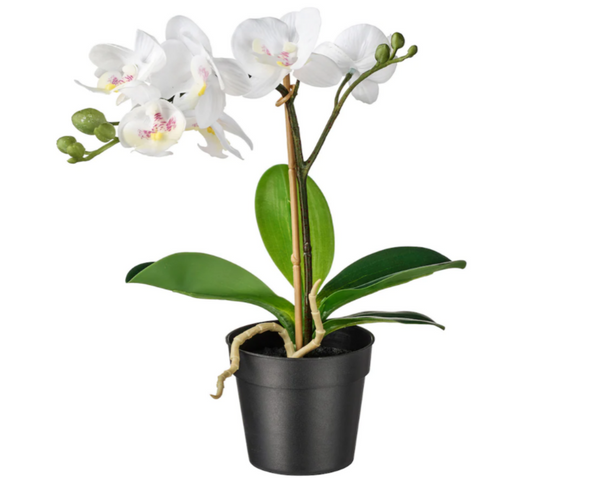 FEJKA Artificial potted plant, Orchid white, 9 cm