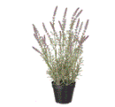 FEJKA artificial potted plant