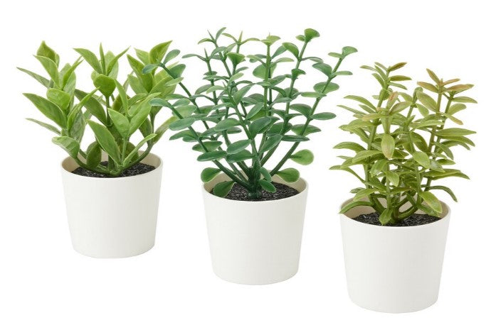 FEJKA Artificial potted plant, set of 3, in/outdoor herbs, 5 cm