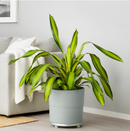 NYPON Plant pot 32 cm in/outdoor grey