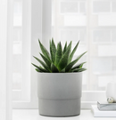 NYPON Plant pot, in/outdoor grey, 15 cm