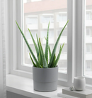 NYPON Plant pot, in/outdoor grey, 15 cm